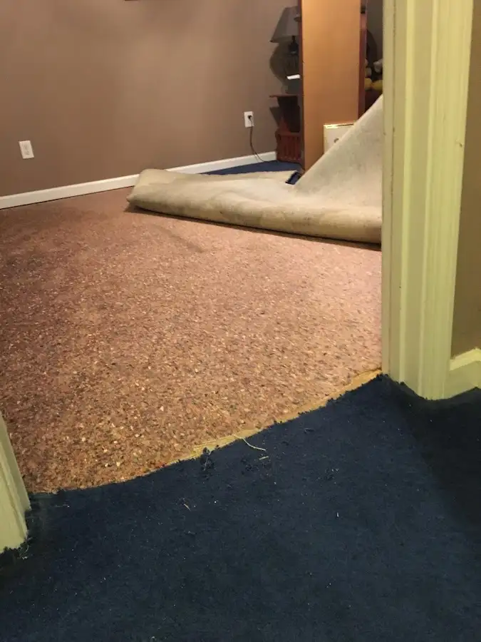Carpet pad removal revealing water damage during Water Mitigation Services in Gloucester
